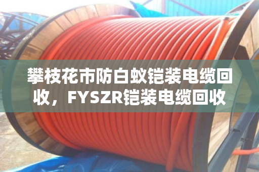 攀枝花市防白蚁铠装电缆回收,FYSZR铠装电缆回收—专业处理,安全省钱,找对路子是关键 攀枝花市防白蚁铠装电缆回收,FYSZR铠装电缆回收—专业处理,安全省钱,找对路子是关键