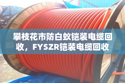 攀枝花市防白蚁铠装电缆回收，FYSZR铠装电缆回收—专业处理，安全省钱，找对路子是关键