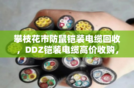 攀枝花市防鼠铠装电缆回收,DDZ铠装电缆高价收购,找对路子省心又赚钱 攀枝花市防鼠铠装电缆回收,DDZ铠装电缆高价收购,找对路子省心又赚钱