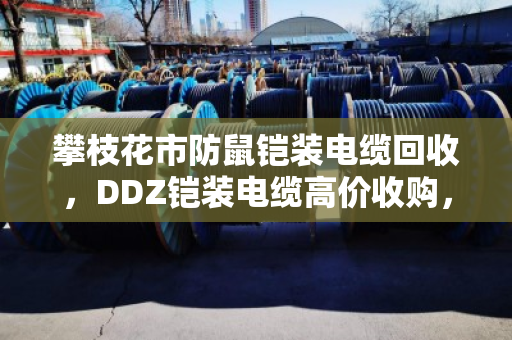 攀枝花市防鼠铠装电缆回收,DDZ铠装电缆高价收购,找对路子省心又赚钱 攀枝花市防鼠铠装电缆回收,DDZ铠装电缆高价收购,找对路子省心又赚钱