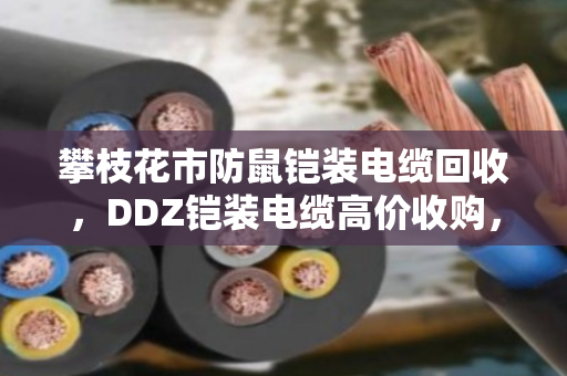 攀枝花市防鼠铠装电缆回收，DDZ铠装电缆高价收购，找对路子省心又赚钱
