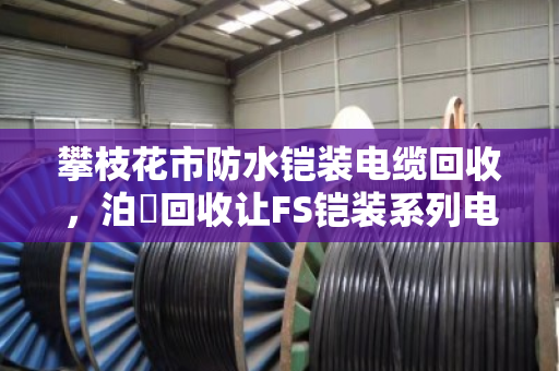 攀枝花市防水铠装电缆回收,泊祎回收让FS铠装系列电缆上门收更省心 攀枝花市防水铠装电缆回收,泊祎回收让FS铠装系列电缆上门收更省心