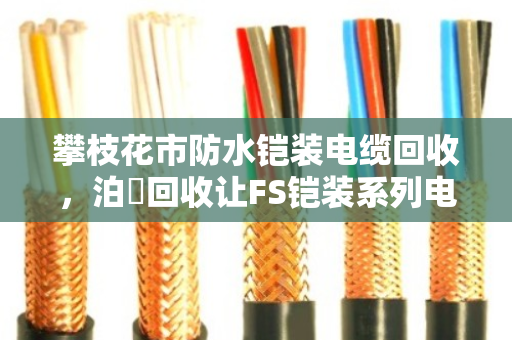 攀枝花市防水铠装电缆回收,泊祎回收让FS铠装系列电缆上门收更省心 攀枝花市防水铠装电缆回收,泊祎回收让FS铠装系列电缆上门收更省心