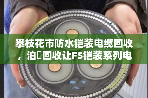 攀枝花市防水铠装电缆回收，泊祎回收让FS铠装系列电缆上门收更省心