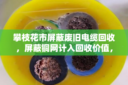 攀枝花市屏蔽废旧电缆回收，屏蔽铜网计入回收价值，您知道能多卖多少钱吗？