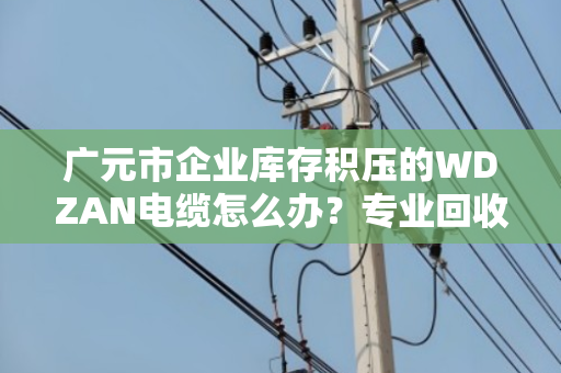 广元市企业库存积压的WDZAN电缆怎么办?专业回收让沉睡资产变真金白银 广元市企业库存积压的WDZAN电缆怎么办?专业回收让沉睡资产变真金白银