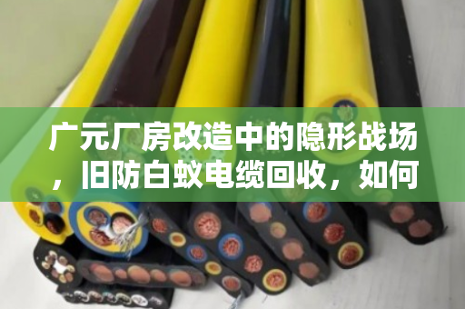 广元厂房改造中的隐形战场,旧防白蚁电缆回收,如何让老厂房焕发新生机? 广元厂房改造中的隐形战场,旧防白蚁电缆回收,如何让老厂房焕发新生机?