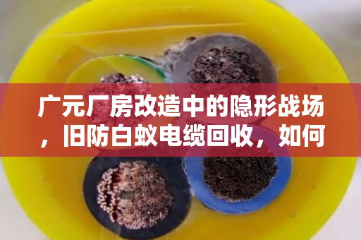 广元厂房改造中的隐形战场，旧防白蚁电缆回收，如何让老厂房焕发新生机？