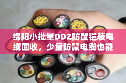绵阳小批量DDZ防鼠铠装电缆回收,少量防鼠电缆也能卖个好价钱—泊祎回收上门服务实录 绵阳小批量DDZ防鼠铠装电缆回收,少量防鼠电缆也能卖个好价钱—泊祎回收上门服务实录