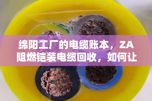 绵阳工厂的电缆账本,ZA阻燃铠装电缆回收,如何让车间旧线缆变金条? 绵阳工厂的电缆账本,ZA阻燃铠装电缆回收,如何让车间旧线缆变金条?