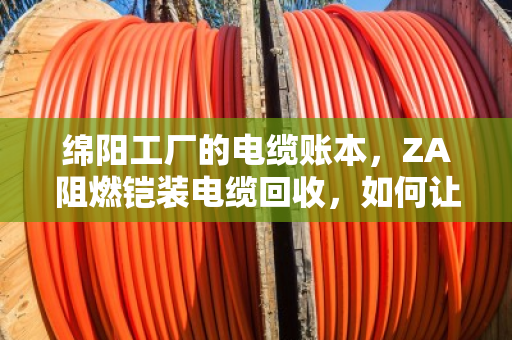 绵阳工厂的电缆账本，ZA阻燃铠装电缆回收，如何让车间旧线缆变金条？