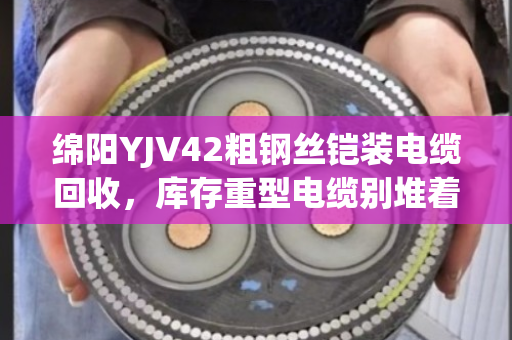 绵阳YJV42粗钢丝铠装电缆回收,库存重型电缆别堆着,变现才是硬道理 绵阳YJV42粗钢丝铠装电缆回收,库存重型电缆别堆着,变现才是硬道理