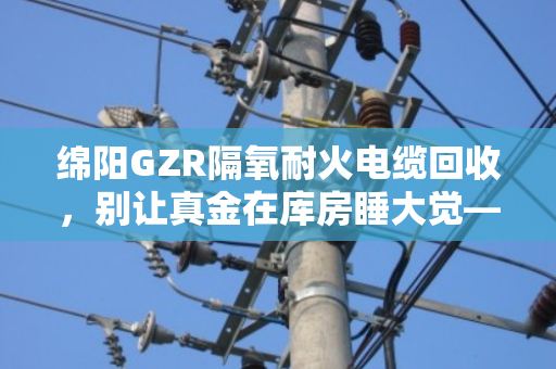 绵阳GZR隔氧耐火电缆回收，别让真金在库房睡大觉—泊祎回收帮你把它变现金