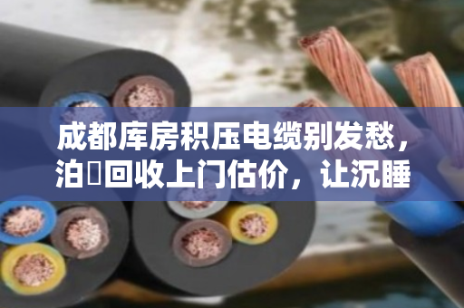 成都库房积压电缆别发愁,泊祎回收上门估价,让沉睡资产变真金白银 成都库房积压电缆别发愁,泊祎回收上门估价,让沉睡资产变真金白银