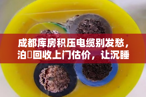 成都库房积压电缆别发愁,泊祎回收上门估价,让沉睡资产变真金白银 成都库房积压电缆别发愁,泊祎回收上门估价,让沉睡资产变真金白银