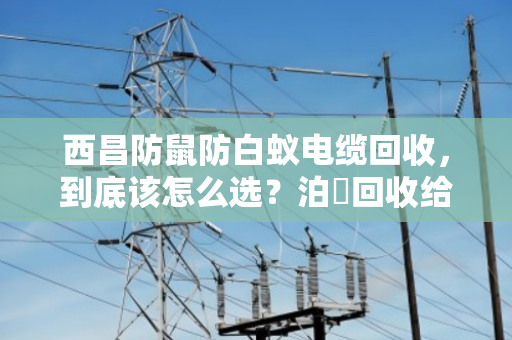 西昌防鼠防白蚁电缆回收，到底该怎么选？泊祎回收给你讲透门道