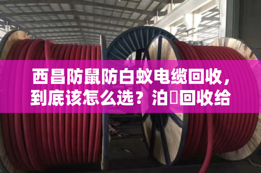 西昌防鼠防白蚁电缆回收，到底该怎么选？泊祎回收给你讲透门道