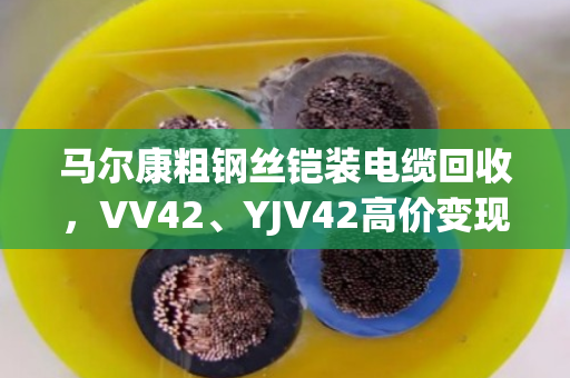 马尔康粗钢丝铠装电缆回收，VV42、YJV42高价变现，找对路子省心又赚钱