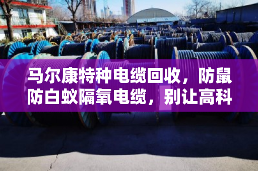马尔康特种电缆回收，防鼠防白蚁隔氧电缆，别让高科技变成废铁价