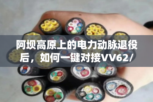 阿坝高原上的电力动脉退役后,如何一键对接VV62/VV72重型铠装电缆回收? 阿坝高原上的电力动脉退役后,如何一键对接VV62/VV72重型铠装电缆回收?