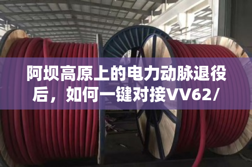 阿坝高原上的电力动脉退役后，如何一键对接VV62/VV72重型铠装电缆回收？