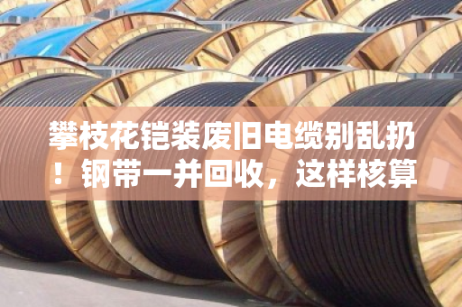 攀枝花铠装废旧电缆别乱扔!钢带一并回收,这样核算价值才不亏 攀枝花铠装废旧电缆别乱扔!钢带一并回收,这样核算价值才不亏