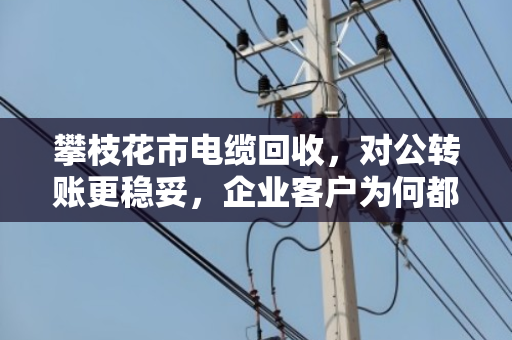 攀枝花市电缆回收，对公转账更稳妥，企业客户为何都选泊祎回收？