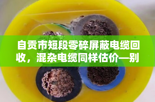 自贡市短段零碎屏蔽电缆回收,混杂电缆同样估价—别让废线头砸手里,泊祎回收帮你变现金 自贡市短段零碎屏蔽电缆回收,混杂电缆同样估价—别让废线头砸手里,泊祎回收帮你变现金