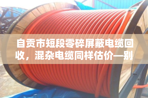自贡市短段零碎屏蔽电缆回收,混杂电缆同样估价—别让废线头砸手里,泊祎回收帮你变现金 自贡市短段零碎屏蔽电缆回收,混杂电缆同样估价—别让废线头砸手里,泊祎回收帮你变现金