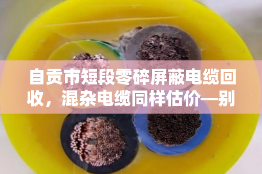 自贡市短段零碎屏蔽电缆回收，混杂电缆同样估价—别让废线头砸手里，泊祎回收帮你变现金