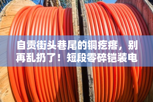 自贡街头巷尾的铜疙瘩,别再乱扔了!短段零碎铠装电缆回收,泊祎回收连碎线头都上门收 自贡街头巷尾的铜疙瘩,别再乱扔了!短段零碎铠装电缆回收,泊祎回收连碎线头都上门收