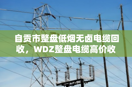 自贡市整盘低烟无卤电缆回收，WDZ整盘电缆高价收，找对路子省心又赚钱