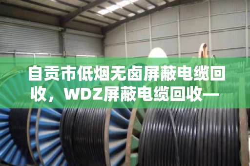 自贡市低烟无卤屏蔽电缆回收,WDZ屏蔽电缆回收—找对路子,废线也能变金条 自贡市低烟无卤屏蔽电缆回收,WDZ屏蔽电缆回收—找对路子,废线也能变金条