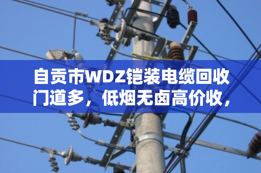 自贡市WDZ铠装电缆回收门道多,低烟无卤高价收,泊祎回收给你算笔明白账 自贡市WDZ铠装电缆回收门道多,低烟无卤高价收,泊祎回收给你算笔明白账