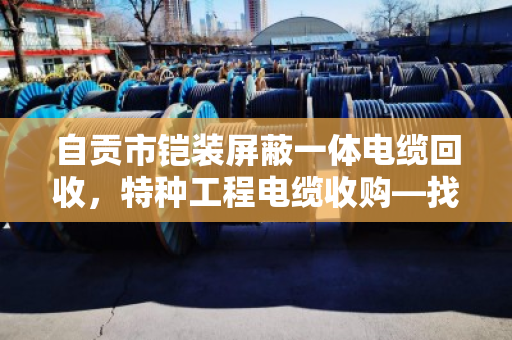 自贡市铠装屏蔽一体电缆回收,特种工程电缆收购—找对路子,废线也能变金条 自贡市铠装屏蔽一体电缆回收,特种工程电缆收购—找对路子,废线也能变金条