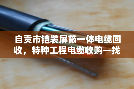 自贡市铠装屏蔽一体电缆回收,特种工程电缆收购—找对路子,废线也能变金条 自贡市铠装屏蔽一体电缆回收,特种工程电缆收购—找对路子,废线也能变金条