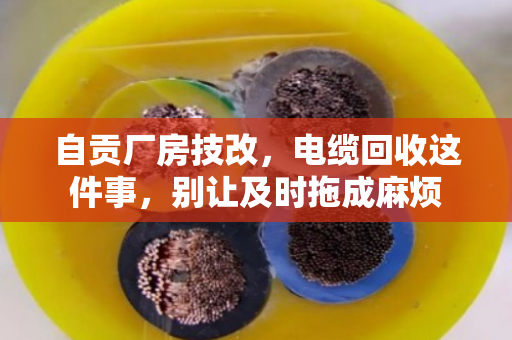 自贡厂房技改,电缆回收这件事,别让及时拖成麻烦 自贡厂房技改,电缆回收这件事,别让及时拖成麻烦