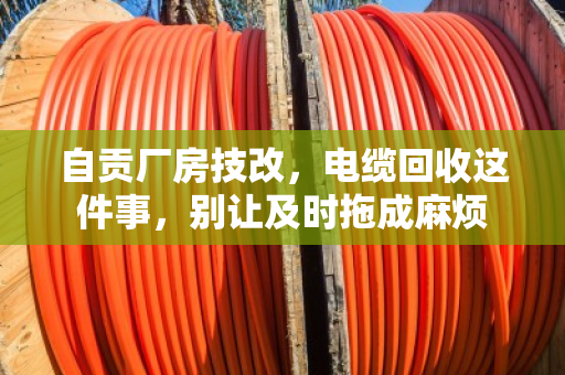 自贡厂房技改,电缆回收这件事,别让及时拖成麻烦 自贡厂房技改,电缆回收这件事,别让及时拖成麻烦