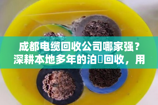 成都电缆回收公司哪家强？深耕本地多年的泊祎回收，用经验帮你把废线卖成金条