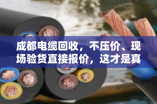 成都电缆回收，不压价、现场验货直接报价，这才是真正的敞亮生意