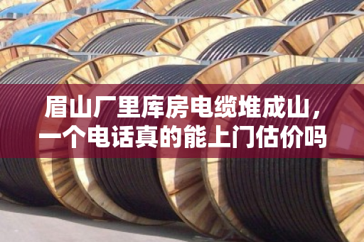 眉山厂里库房电缆堆成山，一个电话真的能上门估价吗？