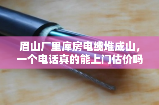 眉山厂里库房电缆堆成山，一个电话真的能上门估价吗？