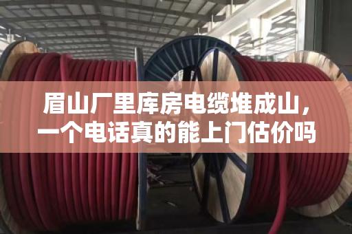 眉山厂里库房电缆堆成山，一个电话真的能上门估价吗？