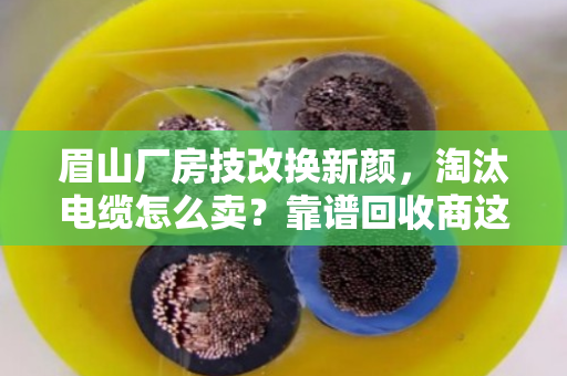 眉山厂房技改换新颜，淘汰电缆怎么卖？靠谱回收商这样选