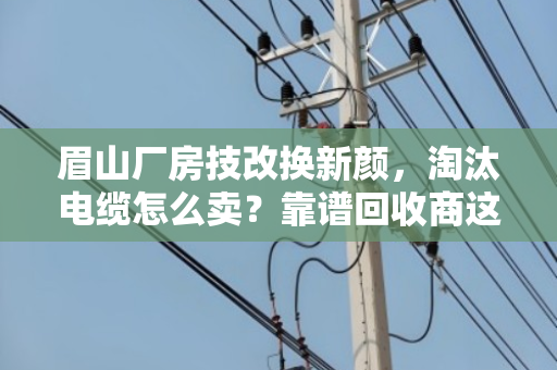 眉山厂房技改换新颜，淘汰电缆怎么卖？靠谱回收商这样选