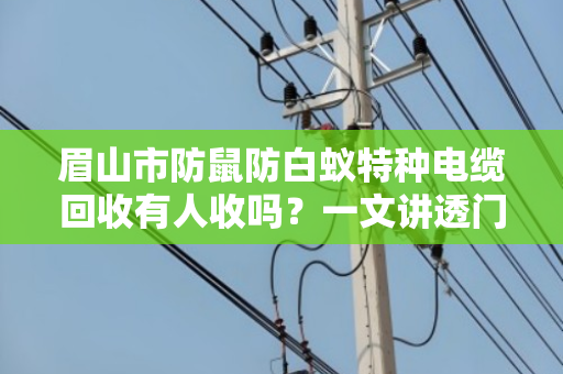 眉山市防鼠防白蚁特种电缆回收有人收吗？一文讲透门道与行情