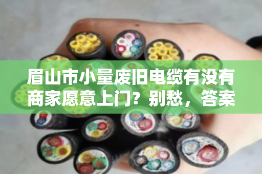 眉山市小量废旧电缆有没有商家愿意上门?别愁,答案比你想的简单 眉山市小量废旧电缆有没有商家愿意上门?别愁,答案比你想的简单