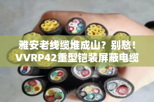 雅安老线缆堆成山?别愁!VVRP42重型铠装屏蔽电缆回收,专业上门拆解变现金 雅安老线缆堆成山?别愁!VVRP42重型铠装屏蔽电缆回收,专业上门拆解变现金