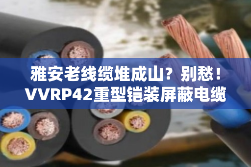 雅安老线缆堆成山?别愁!VVRP42重型铠装屏蔽电缆回收,专业上门拆解变现金 雅安老线缆堆成山?别愁!VVRP42重型铠装屏蔽电缆回收,专业上门拆解变现金