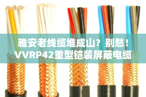 雅安老线缆堆成山？别愁！VVRP42重型铠装屏蔽电缆回收，专业上门拆解变现金